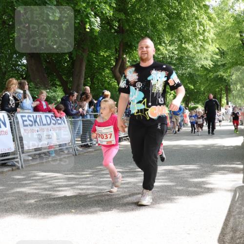 17.05.2025 - Störlauf Strokosch-Dieckow http://msf.ph/oto/7845918 17.05.2025 13:01:54 Ziel 0000, 7037 meine-sportfotos.de