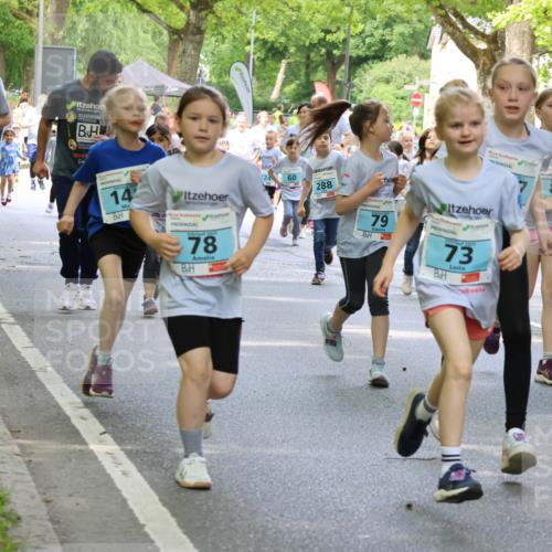 17.05.2025 - Störlauf Strokosch-Dieckow http://msf.ph/oto/7845934 17.05.2025 13:31:24 Laufen 259, 29, 14, 78, 60, 288, 79, 2025, 73, 86 meine-sportfotos.de