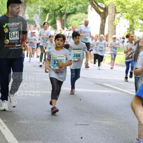 17.05.2025 - Störlauf Strokosch-Dieckow http://msf.ph/oto/7845946 17.05.2025 13:31:27 Laufen 32, 288, 110, 165, 159, 1 meine-sportfotos.de