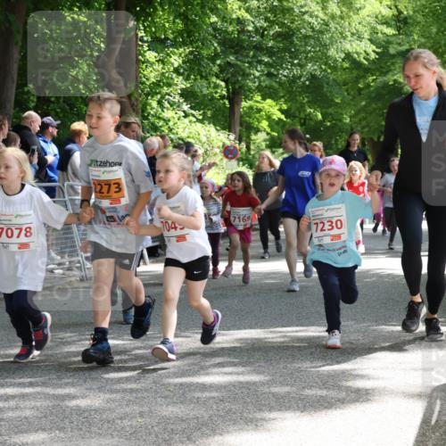 17.05.2025 - Störlauf Strokosch-Dieckow http://msf.ph/oto/7845956 17.05.2025 13:02:10 Ziel 7078, 2273, 704, 7169, 7230, 43 meine-sportfotos.de
