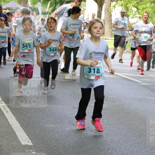 17.05.2025 - Störlauf Strokosch-Dieckow http://msf.ph/oto/7845966 17.05.2025 13:31:32 Laufen 203, 15, 149, 154, 345, 344, 2025, 318, 96, 95, 15 meine-sportfotos.de