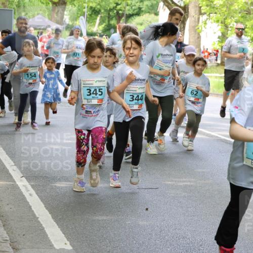 17.05.2025 - Störlauf Strokosch-Dieckow http://msf.ph/oto/7845970 17.05.2025 13:31:32 Laufen 149, 154, 308, 331, 2025, 345, 344, 62, 96, 2025, 318 meine-sportfotos.de