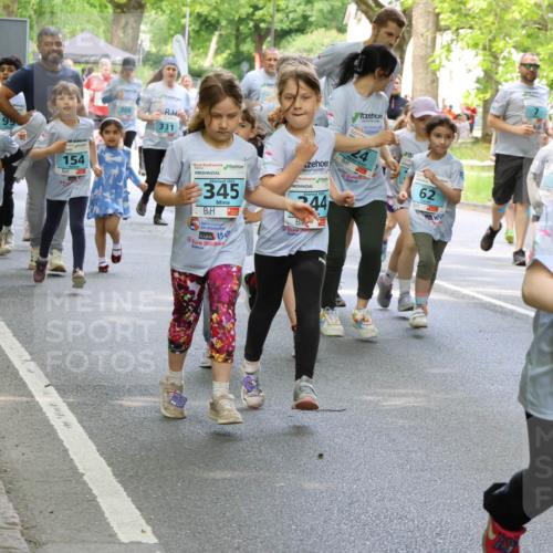 17.05.2025 - Störlauf Strokosch-Dieckow http://msf.ph/oto/7845973 17.05.2025 13:31:33 Laufen 154, 149, 308, 331, 2025, 345, 44, 62, 53, 2025, 318 meine-sportfotos.de