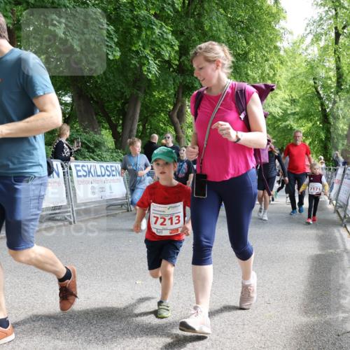 17.05.2025 - Störlauf Strokosch-Dieckow http://msf.ph/oto/7846040 17.05.2025 13:02:42 Ziel 041, 7213, 7171 meine-sportfotos.de