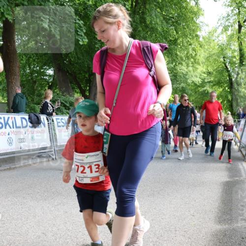 17.05.2025 - Störlauf Strokosch-Dieckow http://msf.ph/oto/7846042 17.05.2025 13:02:42 Ziel 0000, 2025, 7213, 17171 meine-sportfotos.de
