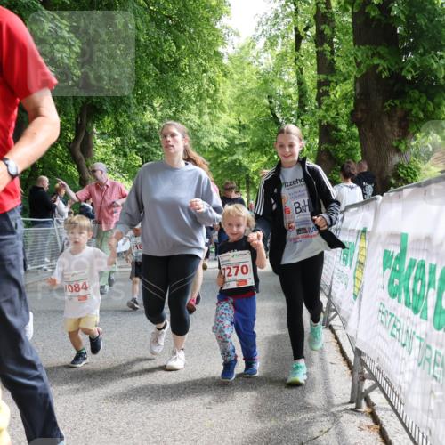 17.05.2025 - Störlauf Strokosch-Dieckow http://msf.ph/oto/7846052 17.05.2025 13:02:46 Ziel 7084, 718, 7270 meine-sportfotos.de