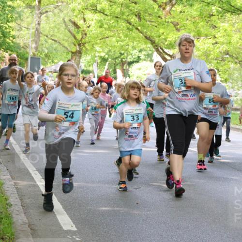 17.05.2025 - Störlauf Strokosch-Dieckow http://msf.ph/oto/7846063 17.05.2025 13:31:54 Laufen 24, 05, 161, 54, 48, 33, 84, 264, 151 meine-sportfotos.de