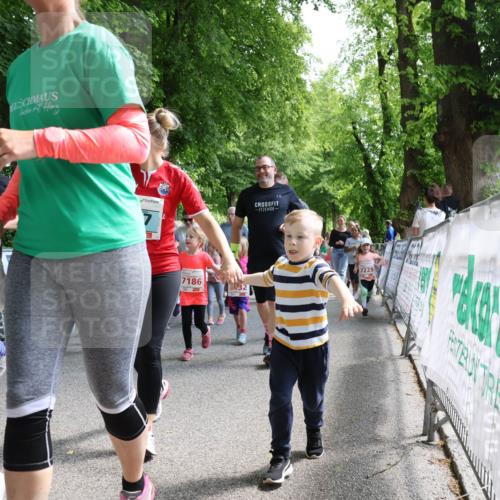 17.05.2025 - Störlauf Strokosch-Dieckow http://msf.ph/oto/7846081 17.05.2025 13:02:58 Ziel 7186, 7225 meine-sportfotos.de