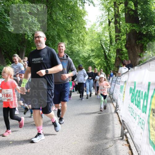 17.05.2025 - Störlauf Strokosch-Dieckow http://msf.ph/oto/7846083 17.05.2025 13:02:59 Ziel 2, 7186, 140, 7225 meine-sportfotos.de