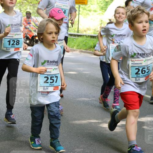 17.05.2025 - Störlauf Strokosch-Dieckow http://msf.ph/oto/7846214 17.05.2025 13:32:24 Laufen 67, 2025, 128, 4, 2025, 257, 02, 289, 2025, 265, 74 meine-sportfotos.de