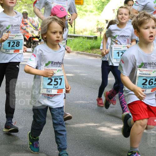 17.05.2025 - Störlauf Strokosch-Dieckow http://msf.ph/oto/7846218 17.05.2025 13:32:24 Laufen 2025, 128, 2, 12, 2025, 257, 2025, 265, 74 meine-sportfotos.de