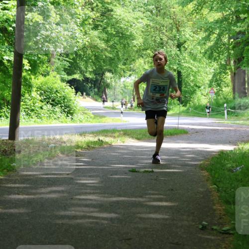 17.05.2025 - Störlauf Strokosch-Dieckow http://msf.ph/oto/7846242 17.05.2025 13:37:52 Laufen 234 meine-sportfotos.de