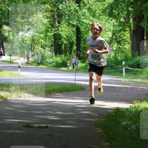 17.05.2025 - Störlauf Strokosch-Dieckow http://msf.ph/oto/7846258 17.05.2025 13:38:01 Laufen 350, 238 meine-sportfotos.de