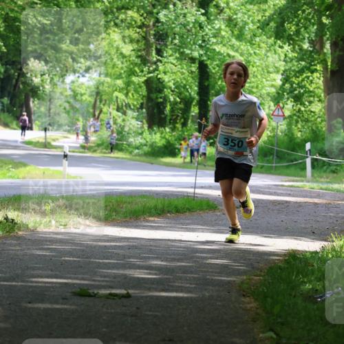 17.05.2025 - Störlauf Strokosch-Dieckow http://msf.ph/oto/7846266 17.05.2025 13:38:01 Laufen 350, 238 meine-sportfotos.de