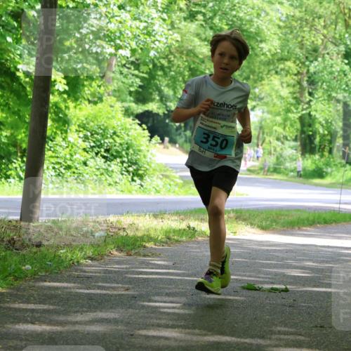 17.05.2025 - Störlauf Strokosch-Dieckow http://msf.ph/oto/7846277 17.05.2025 13:38:03 Laufen 2025, 350, 238 meine-sportfotos.de