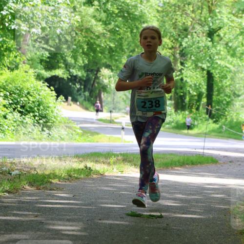 17.05.2025 - Störlauf Strokosch-Dieckow http://msf.ph/oto/7846282 17.05.2025 13:38:04 Laufen 2025, 238 meine-sportfotos.de