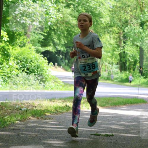 17.05.2025 - Störlauf Strokosch-Dieckow http://msf.ph/oto/7846302 17.05.2025 13:38:05 Laufen 2025, 238 meine-sportfotos.de