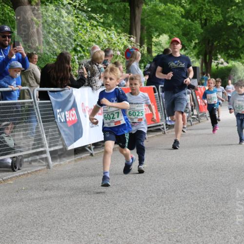 17.05.2025 - Störlauf Strokosch-Dieckow http://msf.ph/oto/7846309 17.05.2025 13:16:20 Ziel 6027, 6025, 6075, 6058, 6028, 507 meine-sportfotos.de