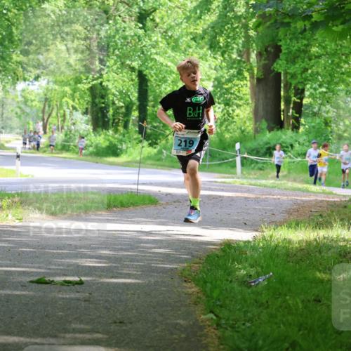 17.05.2025 - Störlauf Strokosch-Dieckow http://msf.ph/oto/7846310 17.05.2025 13:38:13 Laufen 219 meine-sportfotos.de