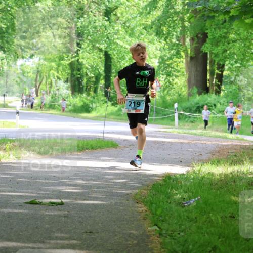 17.05.2025 - Störlauf Strokosch-Dieckow http://msf.ph/oto/7846314 17.05.2025 13:38:13 Laufen 219 meine-sportfotos.de