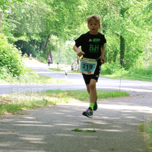 17.05.2025 - Störlauf Strokosch-Dieckow http://msf.ph/oto/7846318 17.05.2025 13:38:14 Laufen 219 meine-sportfotos.de