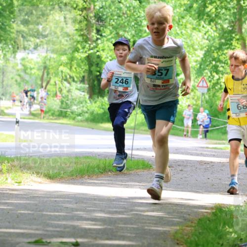 17.05.2025 - Störlauf Strokosch-Dieckow http://msf.ph/oto/7846347 17.05.2025 13:38:25 Laufen 246, 2025, 357, 68, 349 meine-sportfotos.de