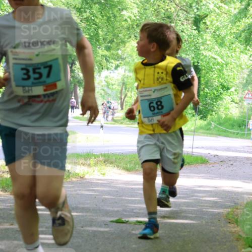 17.05.2025 - Störlauf Strokosch-Dieckow http://msf.ph/oto/7846358 17.05.2025 13:38:28 Laufen 357, 68, 353 meine-sportfotos.de