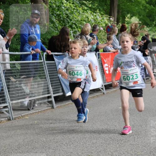 17.05.2025 - Störlauf Strokosch-Dieckow http://msf.ph/oto/7846359 17.05.2025 13:16:40 Ziel 6046, 3, 6023 meine-sportfotos.de