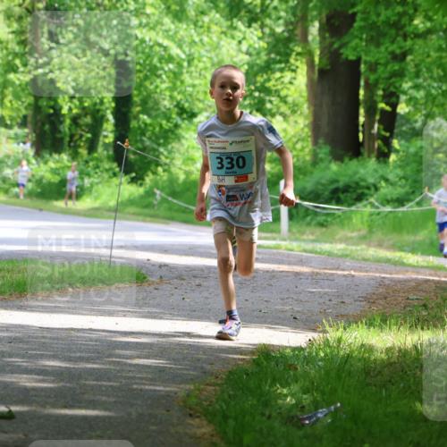 17.05.2025 - Störlauf Strokosch-Dieckow http://msf.ph/oto/7846397 17.05.2025 13:38:36 Laufen 2025, 330, 65 meine-sportfotos.de