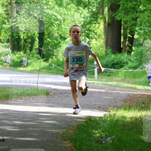 17.05.2025 - Störlauf Strokosch-Dieckow http://msf.ph/oto/7846401 17.05.2025 13:38:36 Laufen 330, 65 meine-sportfotos.de
