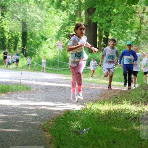 17.05.2025 - Störlauf Strokosch-Dieckow http://msf.ph/oto/7846405 17.05.2025 13:38:41 Laufen 65, 216, 137 meine-sportfotos.de
