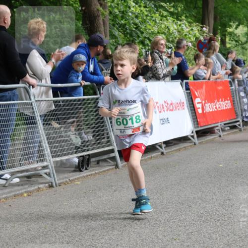 17.05.2025 - Störlauf Strokosch-Dieckow http://msf.ph/oto/7846406 17.05.2025 13:16:59 Ziel 119, 2025, 6018, 6040 meine-sportfotos.de