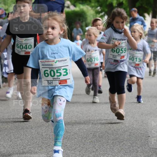17.05.2025 - Störlauf Strokosch-Dieckow http://msf.ph/oto/7846408 17.05.2025 13:17:01 Ziel 6040, 2025, 6053, 6076, 16059, 6015, 6048 meine-sportfotos.de