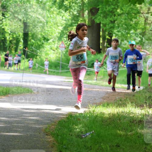 17.05.2025 - Störlauf Strokosch-Dieckow http://msf.ph/oto/7846409 17.05.2025 13:38:41 Laufen 2021, 65, 216, 137 meine-sportfotos.de