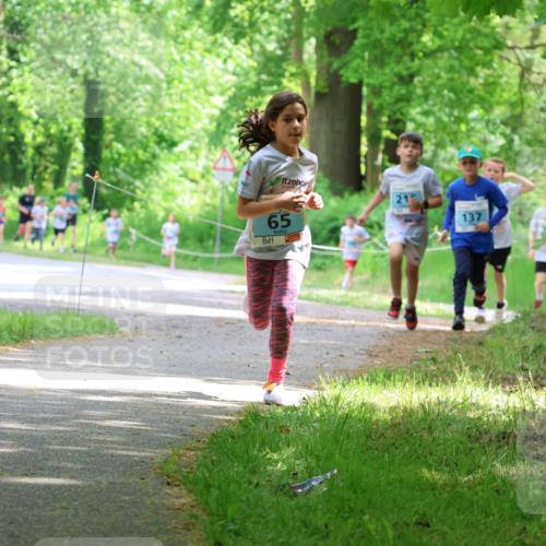 17.05.2025 - Störlauf Strokosch-Dieckow http://msf.ph/oto/7846413 17.05.2025 13:38:41 Laufen 21, 65, 137 meine-sportfotos.de
