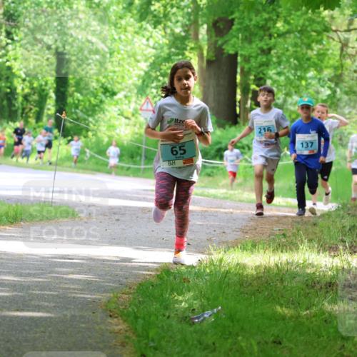 17.05.2025 - Störlauf Strokosch-Dieckow http://msf.ph/oto/7846418 17.05.2025 13:38:41 Laufen 65, 216, 137 meine-sportfotos.de