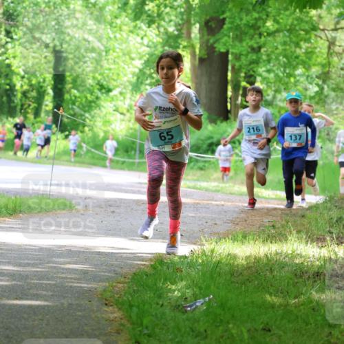17.05.2025 - Störlauf Strokosch-Dieckow http://msf.ph/oto/7846421 17.05.2025 13:38:41 Laufen 2025, 65, 216, 137 meine-sportfotos.de