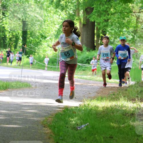 17.05.2025 - Störlauf Strokosch-Dieckow http://msf.ph/oto/7846424 17.05.2025 13:38:41 Laufen 2025, 65, 216, 137 meine-sportfotos.de