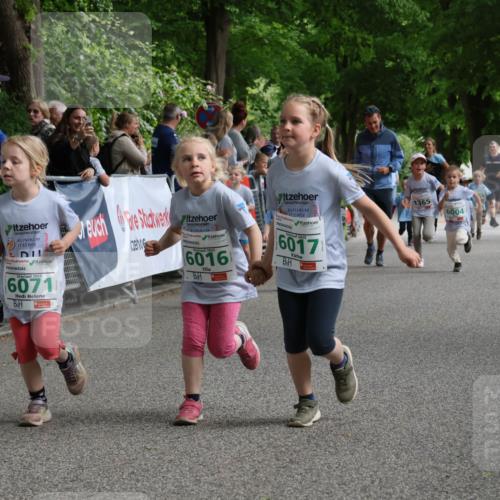 17.05.2025 - Störlauf Strokosch-Dieckow http://msf.ph/oto/7846428 17.05.2025 13:17:09 Ziel 2025, 6071, 2025, 6016, 6017, 1365, 6004 meine-sportfotos.de