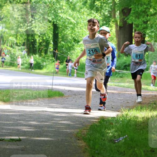 17.05.2025 - Störlauf Strokosch-Dieckow http://msf.ph/oto/7846429 17.05.2025 13:38:44 Laufen 216, 81, 158 meine-sportfotos.de