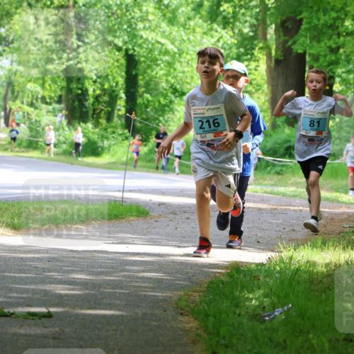 17.05.2025 - Störlauf Strokosch-Dieckow http://msf.ph/oto/7846432 17.05.2025 13:38:44 Laufen 216, 81, 158 meine-sportfotos.de