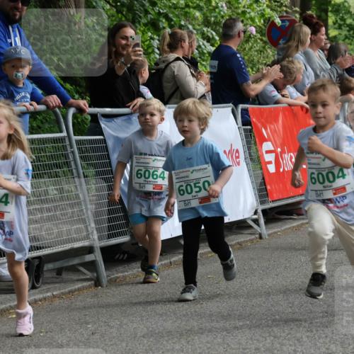 17.05.2025 - Störlauf Strokosch-Dieckow http://msf.ph/oto/7846433 17.05.2025 13:17:11 Ziel 2025, 6064, 2025, 6050, 2025, 6014, 6004, 080, 202, 1365 meine-sportfotos.de