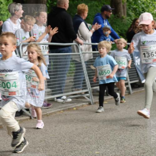17.05.2025 - Störlauf Strokosch-Dieckow http://msf.ph/oto/7846437 17.05.2025 13:17:12 Ziel 00006004, 50, 119, 6050, 5064, 1365, 6080 meine-sportfotos.de