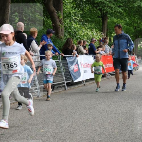 17.05.2025 - Störlauf Strokosch-Dieckow http://msf.ph/oto/7846439 17.05.2025 13:17:13 Ziel 116, 1365, 50, 6064, 6080, 6056 meine-sportfotos.de