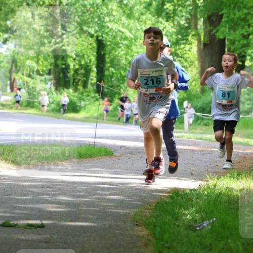 17.05.2025 - Störlauf Strokosch-Dieckow http://msf.ph/oto/7846440 17.05.2025 13:38:44 Laufen 216, 81, 158 meine-sportfotos.de