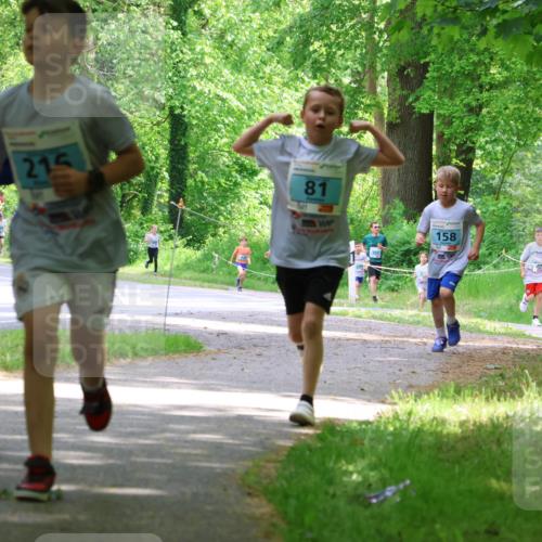 17.05.2025 - Störlauf Strokosch-Dieckow http://msf.ph/oto/7846444 17.05.2025 13:38:46 Laufen 215, 81, 158 meine-sportfotos.de