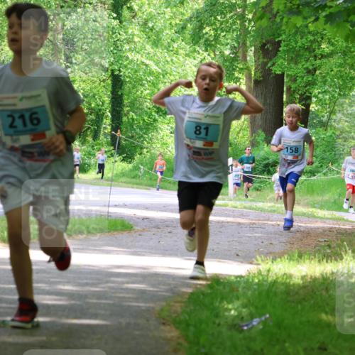 17.05.2025 - Störlauf Strokosch-Dieckow http://msf.ph/oto/7846448 17.05.2025 13:38:46 Laufen 137, 216, 81, 158, 194 meine-sportfotos.de