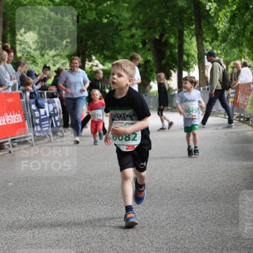 17.05.2025 - Störlauf Strokosch-Dieckow http://msf.ph/oto/7846460 17.05.2025 13:17:24 Ziel 5079, 5045, 6082 meine-sportfotos.de