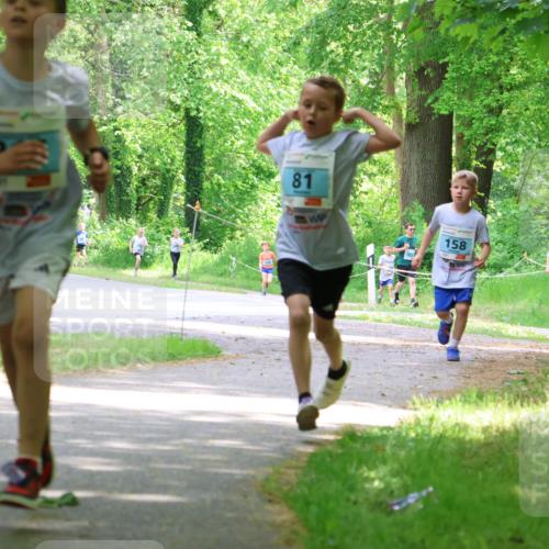 17.05.2025 - Störlauf Strokosch-Dieckow http://msf.ph/oto/7846461 17.05.2025 13:38:46 Laufen 37, 81, 158, 194 meine-sportfotos.de