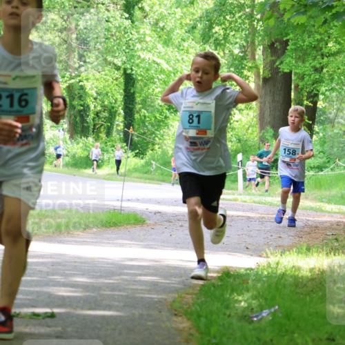 17.05.2025 - Störlauf Strokosch-Dieckow http://msf.ph/oto/7846465 17.05.2025 13:38:47 Laufen 137, 216, 81, 158 meine-sportfotos.de